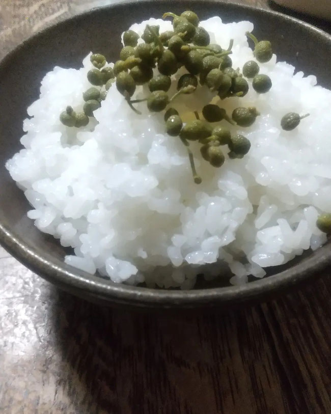 ごはん青実山椒で食べたい