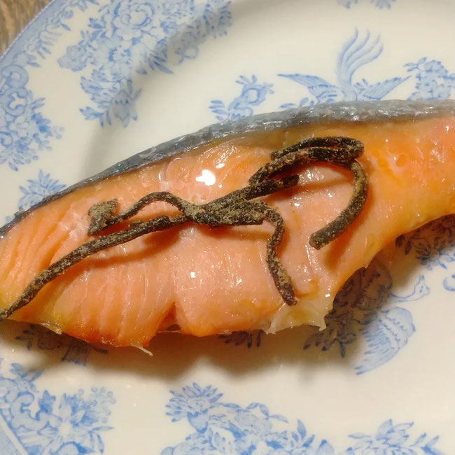 鮭のやき魚もいそ松葉で食べたい