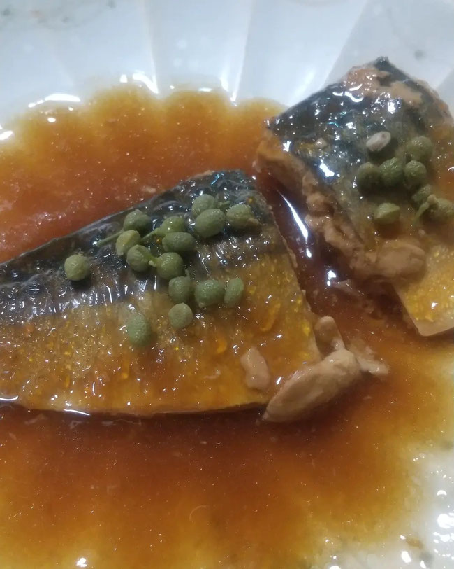 鯖の味噌煮に青実山椒あうよ