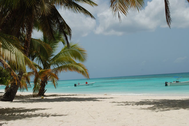 Isola di saona