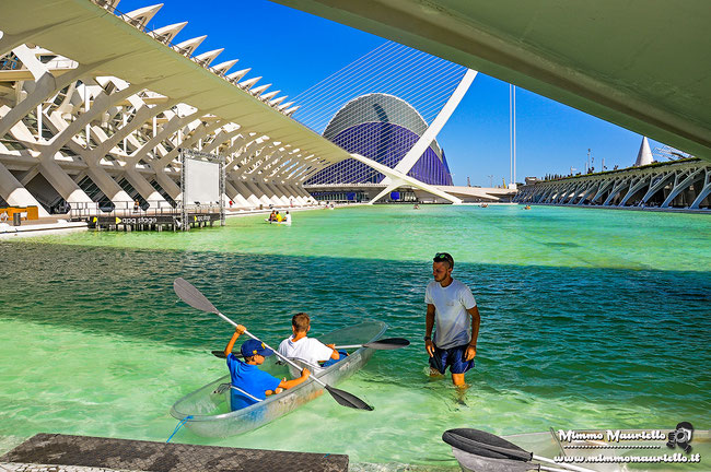City of the Arts and Sciences (Ciudad de las Artes y las Ciencias)