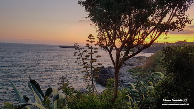 Marina di Camerota