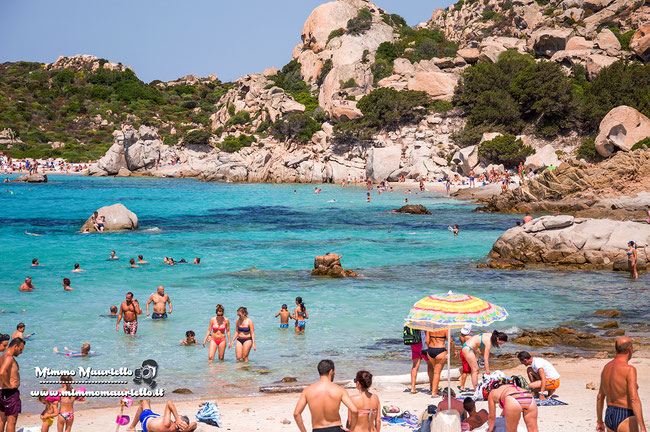 Sardegna