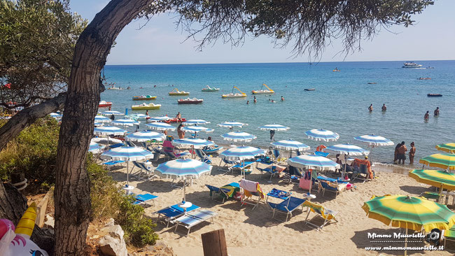 Spiaggia della Calanca (Marina di Camerota)