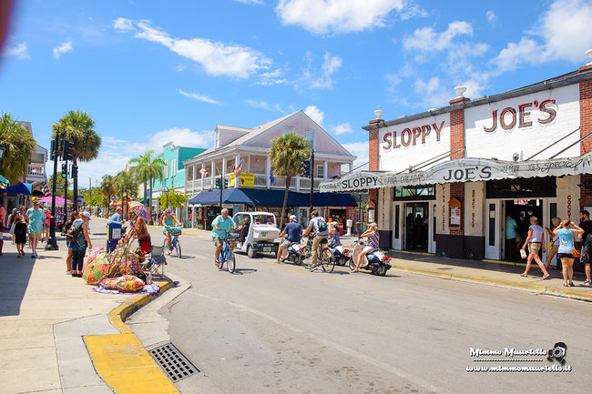 Per molti il 201 di Duval Street è una tappa obbligatoria in quanto il locale Sloppy Joe’s veniva frequentato negli anni trenta da Ernest Hemingway durante il suo soggiorno a Key West