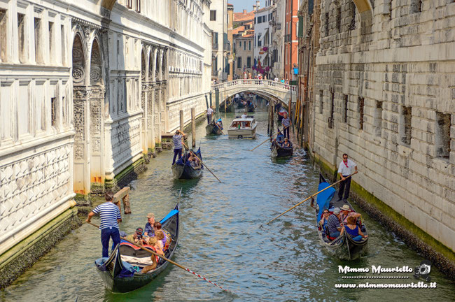 Venezia