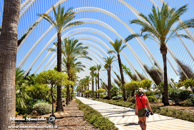 Umbracle