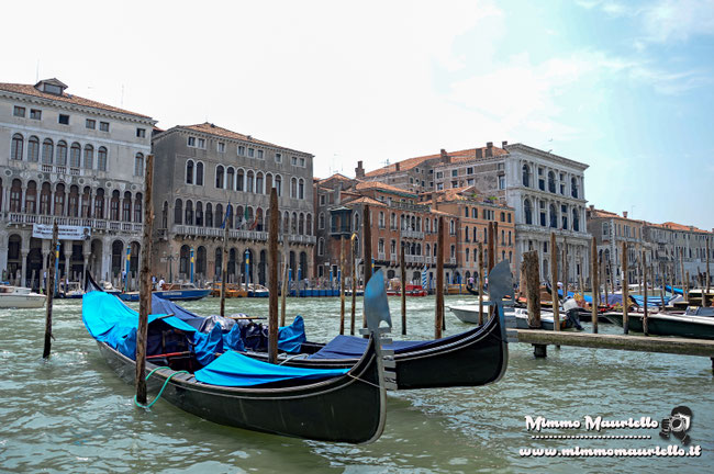 Venezia