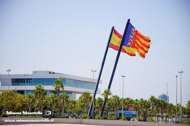 Bioparc Valencia