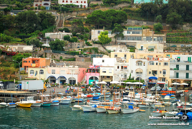 Capri