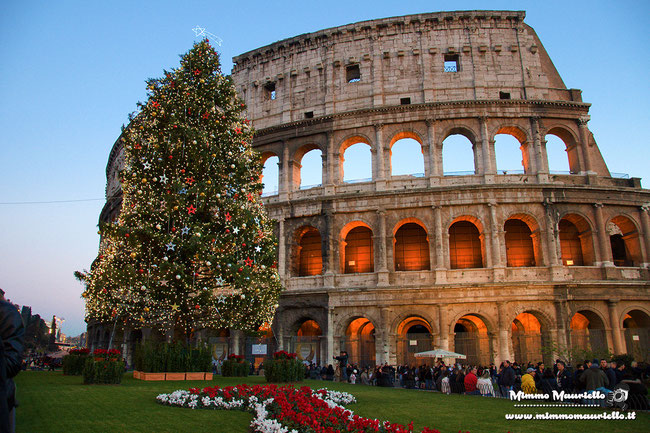 Colosseo natalizio