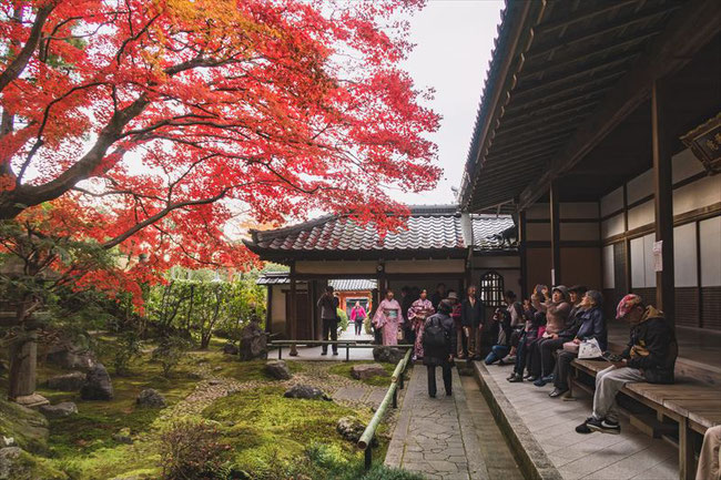 京都栄摂院の枯山水庭園と紅葉