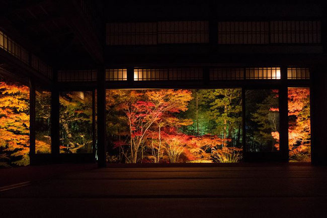  京都の紅葉ライトアップ　南禅寺天授庵