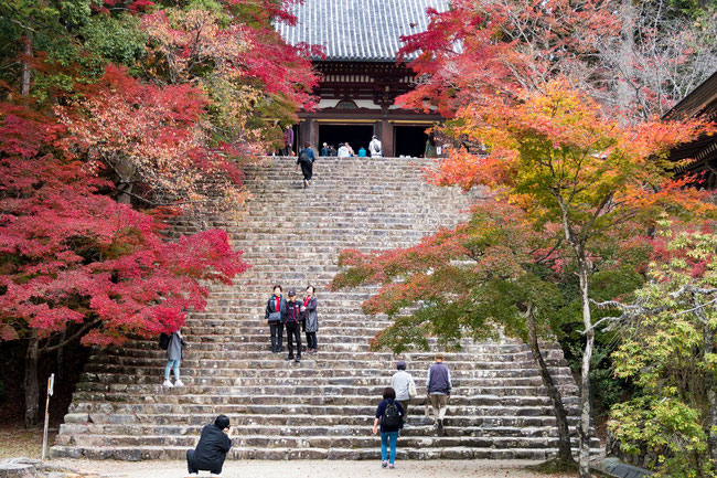 高雄神護寺 紅葉・階段