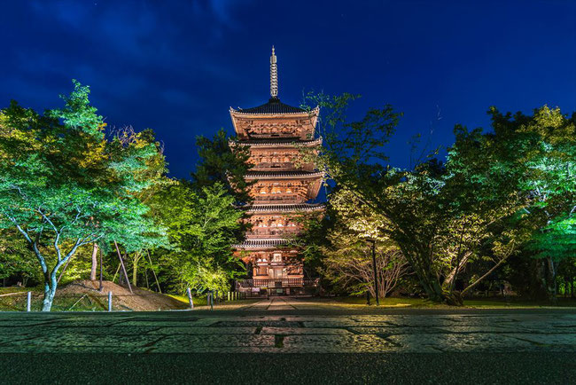 仁和寺青紅葉ライトアップの五重塔