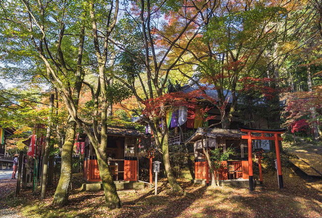 秋の今熊野観音寺の紅葉