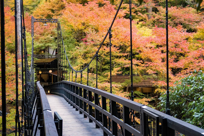 高雄神護寺 紅葉・高雄観光ホテルつり橋