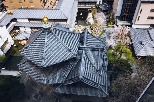 （京都桜の名所）六角堂のビルからの眺め