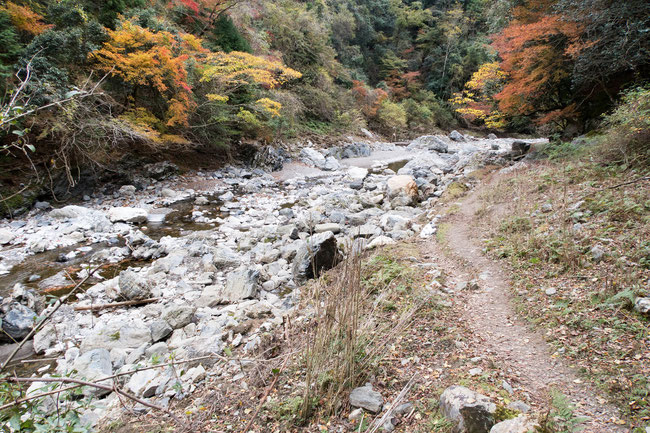 京都トレイル北山西部コース