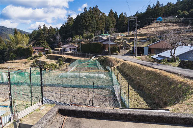 熊野古道中辺路