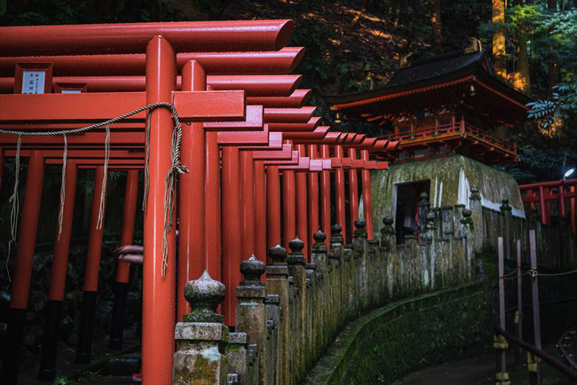 狸谷山不動院の連続した鳥居