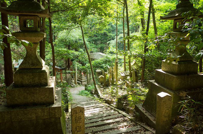 京都トレイル東山コース深草大岩神社