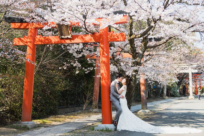 （京都桜の穴場）竹中稲荷神社の桜中国人ウェディングフォト