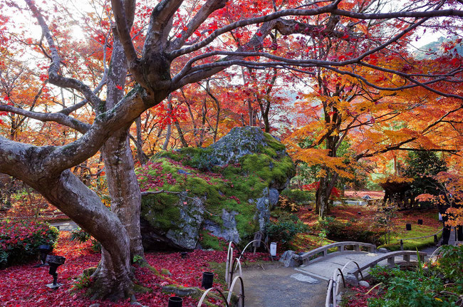 嵐山・宝厳院の紅葉