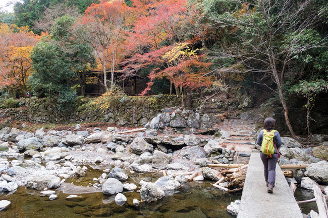 京都トレイル北山西部コース 潜没橋