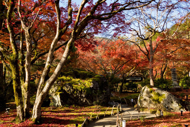 嵐山・宝厳院の紅葉