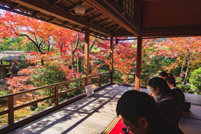 妙心寺塔頭大法院の紅葉