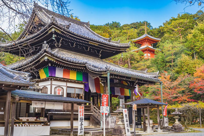 秋の今熊野観音寺