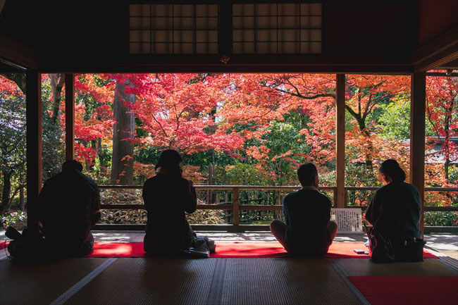 妙心寺塔頭大法院の紅葉