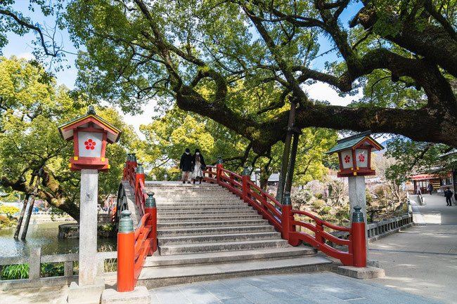 旅行記太宰府天満宮