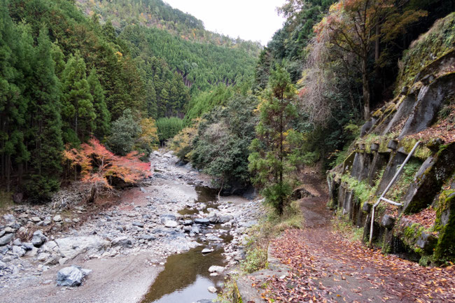 高雄紅葉 京都トレイル北山西部コース