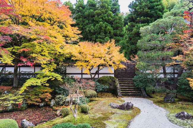 泉涌寺の御座所の紅葉