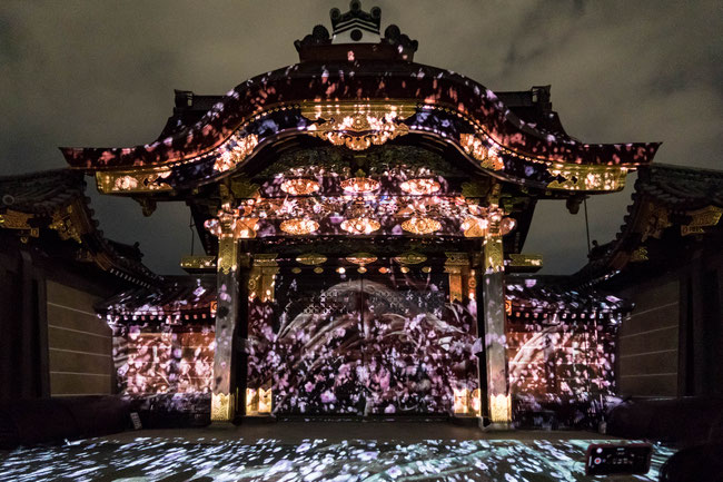 京都二条城桜祭りプロジェクションマッピング2018