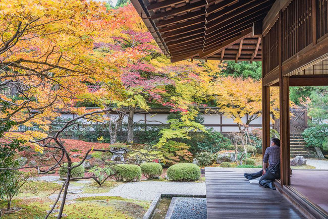 泉涌寺の御座所の縁側ともみじ