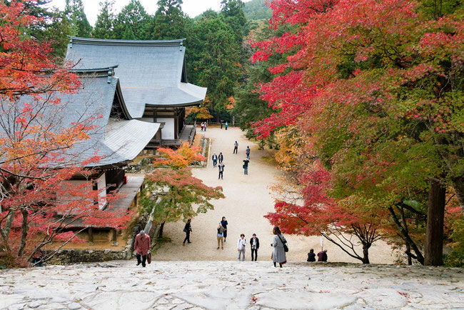 高雄神護寺 紅葉・階段