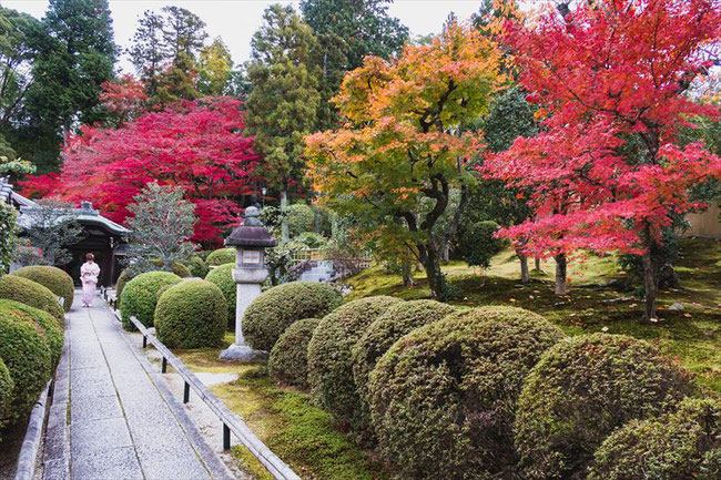 京都栄摂院の紅葉