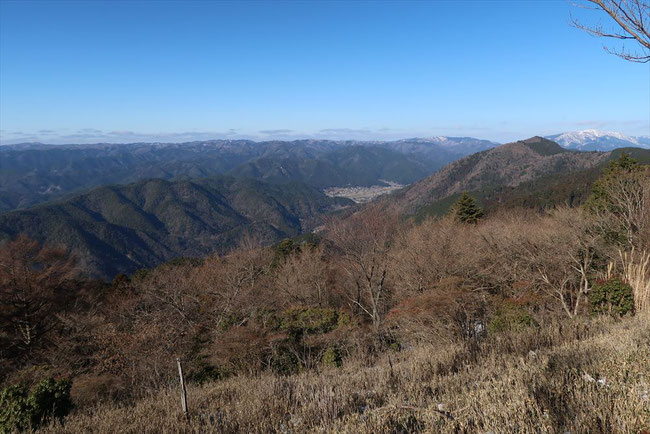 【比良比叡トレイル】表参道(本坂)コース比叡山下山日吉大社まで