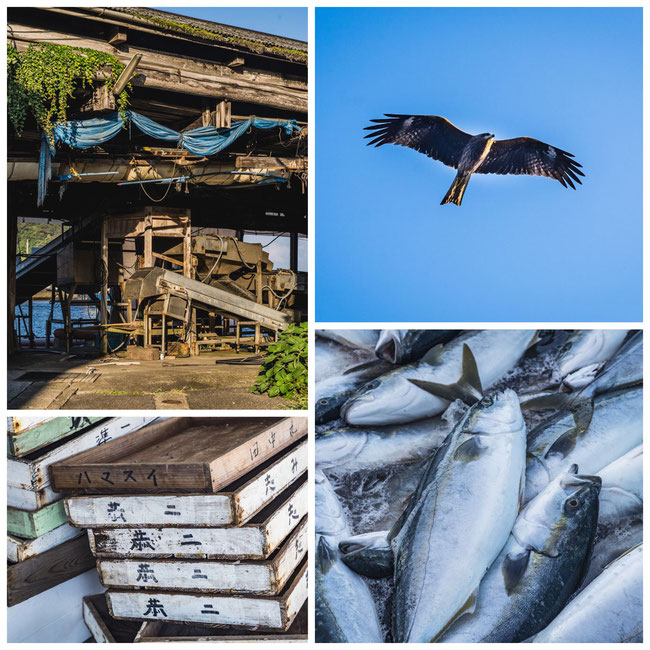 兵庫県竹野漁港