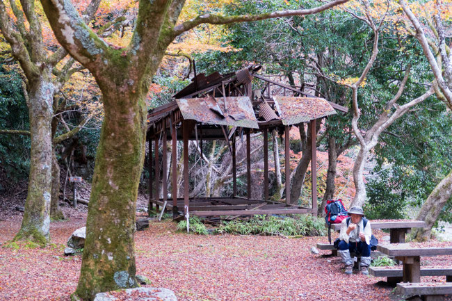 高雄紅葉 京都トレイル北山西部コース