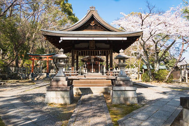 （京都桜の穴場）竹中稲荷神社の桜