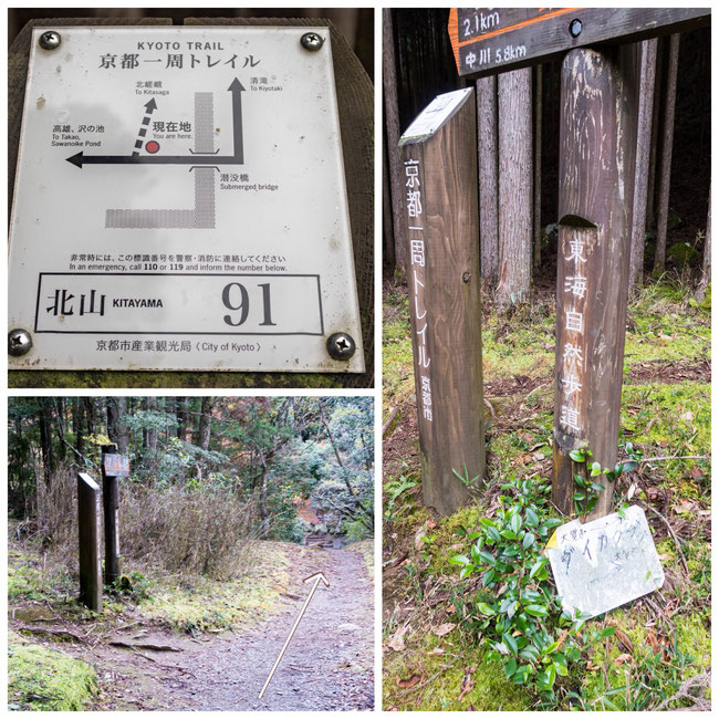 高雄 京都トレイル北山西部コース「北山91」