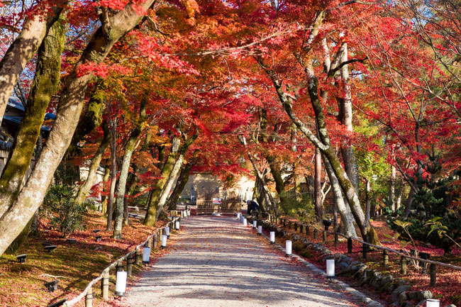 嵐山・宝厳院の紅葉