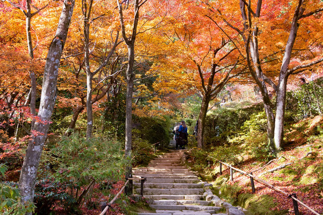 嵐山・常寂光寺の紅葉