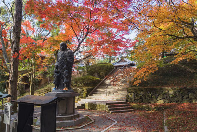 秋の今熊野観音寺の紅葉