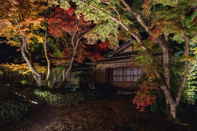秋の嵐山宝厳院のライトアップ