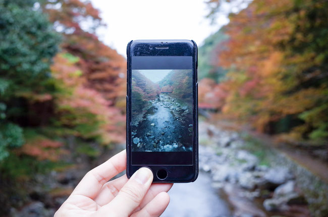 清滝紅葉 京都トレイル西山コース